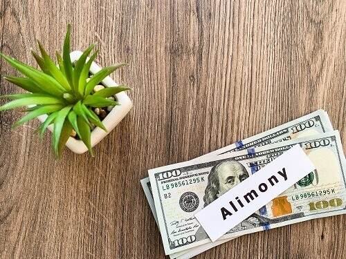 Alimony payment